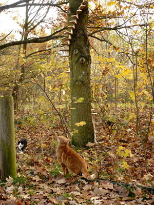 Mark Baskett / Z&uuml;rich & Oliver Walker Bild